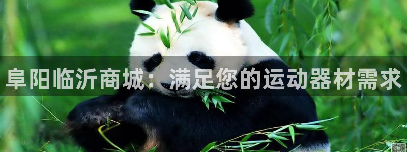 意昂体育3平台注册:阜阳临沂商城:满足您的运动器材需求