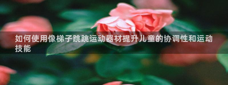 意昂体育3开户:如何使用像梯子跳跳运动器材提升儿童的协调性和