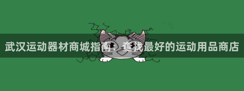 意昂体育3是干嘛的公司:武汉运动器材商城指南:查找最好的运动